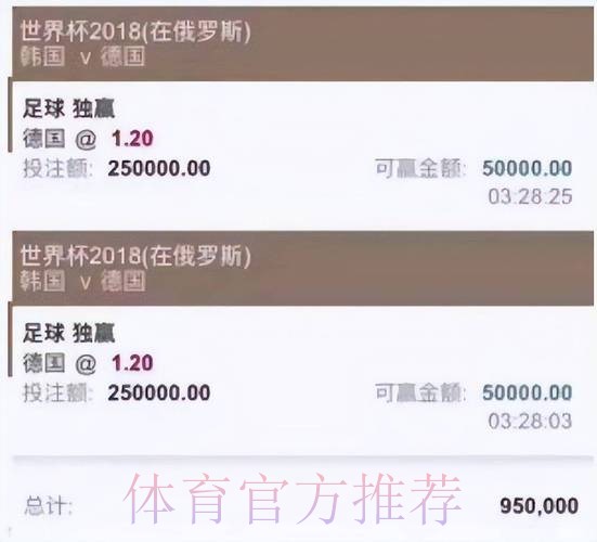 全面解析：世界杯买球平台的安全性与风险因素